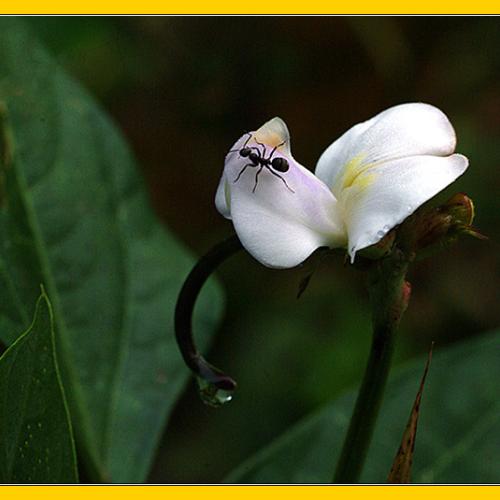 오늘 아침엔110-3탄