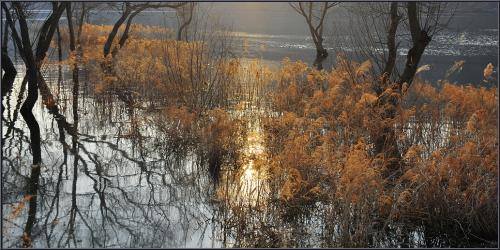 대청호가는 길에