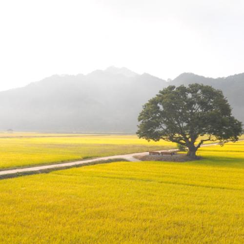 원정리 입니다.