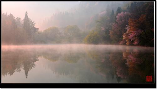 안개에 갇힌 세량지