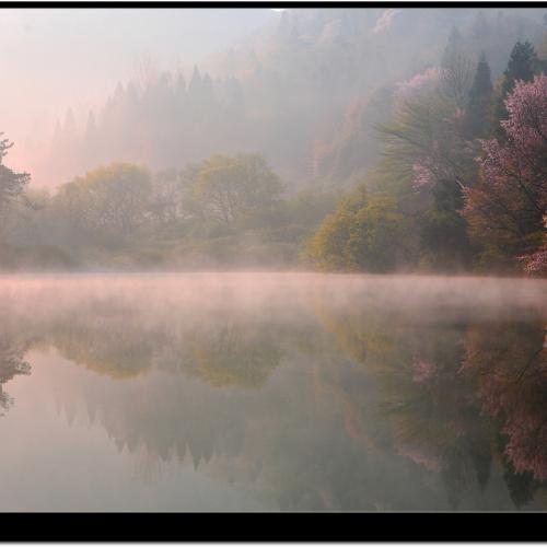 안개에 갇힌 세량지