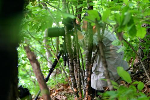 뭐하는 사람이래요???