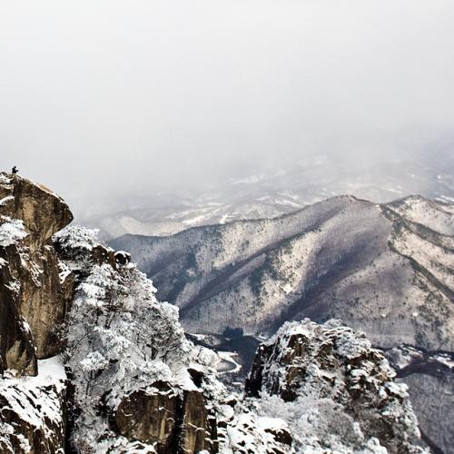 혹시 여기 회원님 아니신지??
