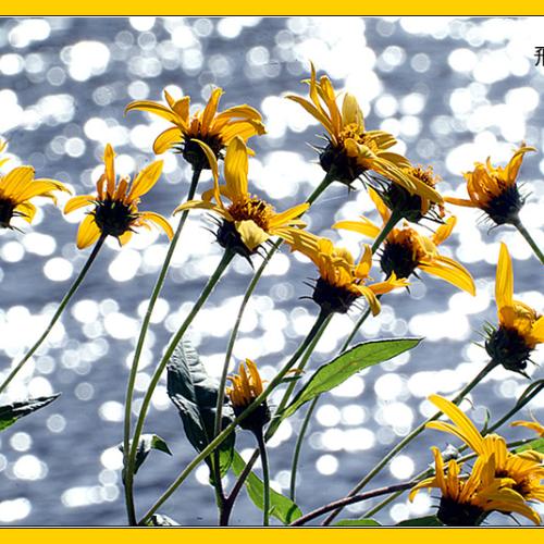 오늘 아침엔111탄