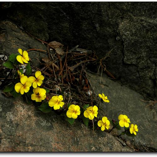 쉬면서 오르세요...