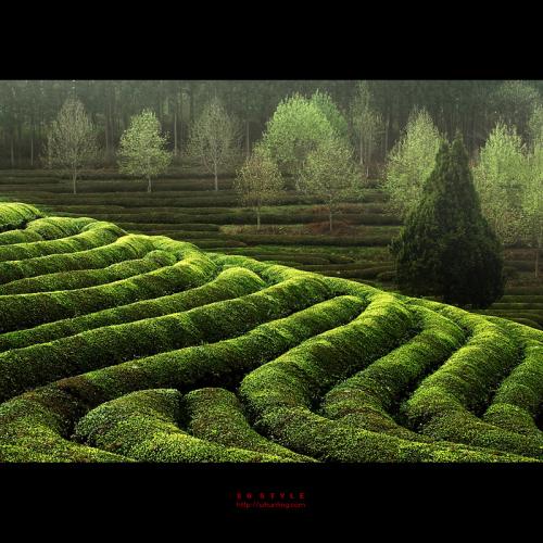 아름다운 우리나라...