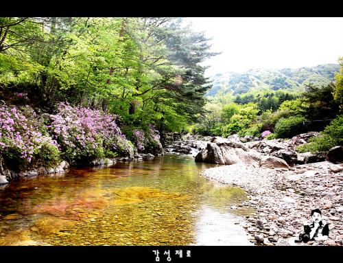 지리산에서..
