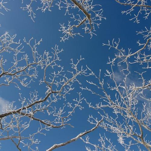 지리종주-상고대