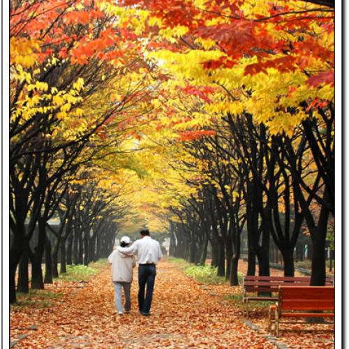 가을공원...