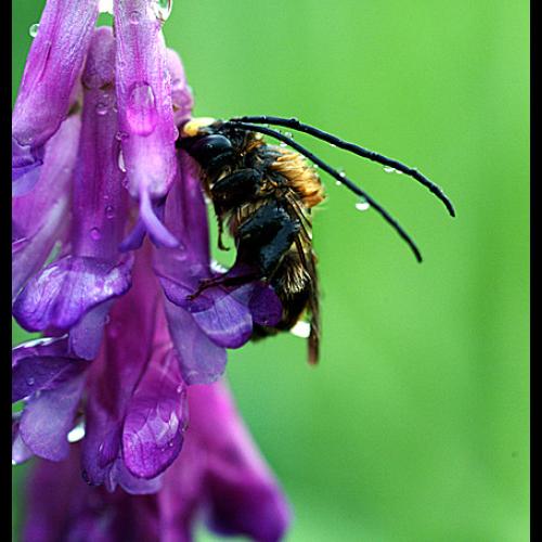 오늘 아침엔23탄(연 작)