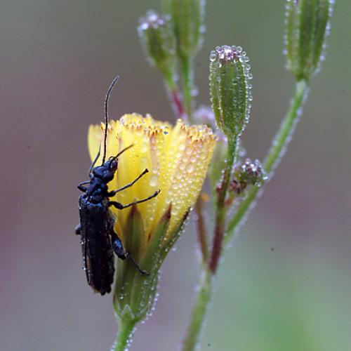 오늘 아침엔165-2탄