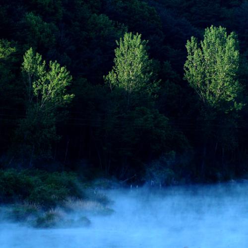 예전 아침에..(물안개)