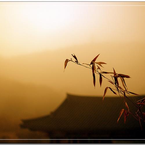 안개 속의 산사