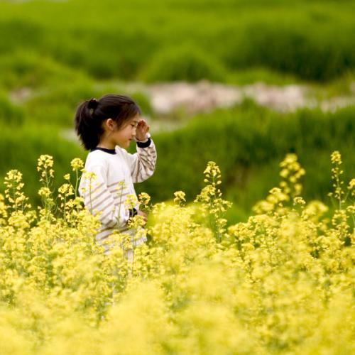 그때가 그립습니다