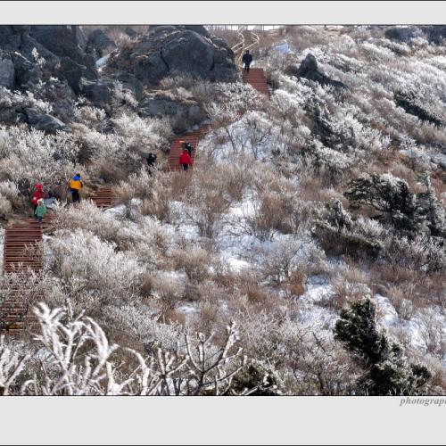 덕유산의 상고대