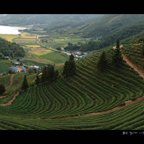 The days in 2000km #01