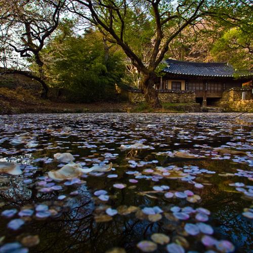 요즘에 꼭 들르는 곳