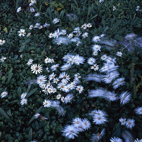 나 흔들리고 있니...