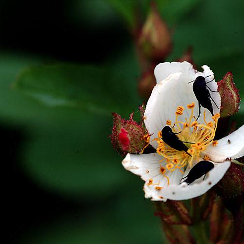 오늘 아침엔166탄