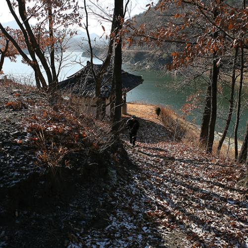 겨울 햇살 아래