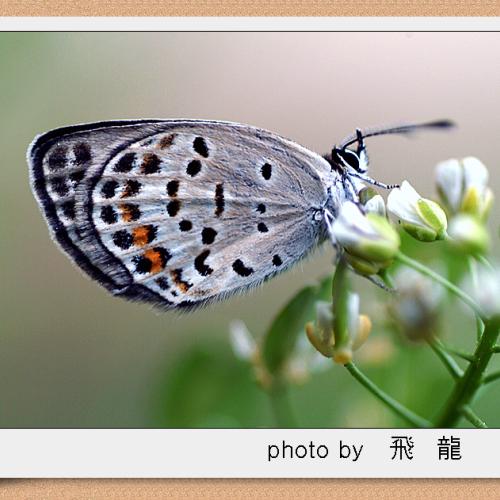 오늘 아침엔 25탄