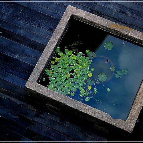 비뚤어진 틀 안의 我