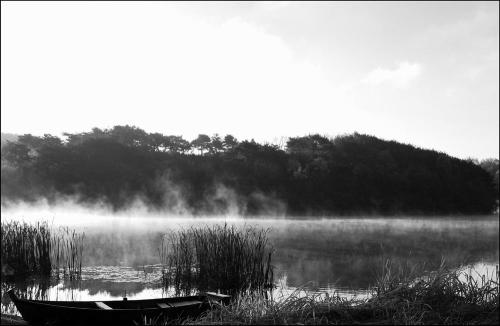 배가 있는 풍경 #12