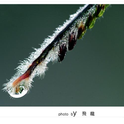 오늘 아침엔114(전화번호안내)