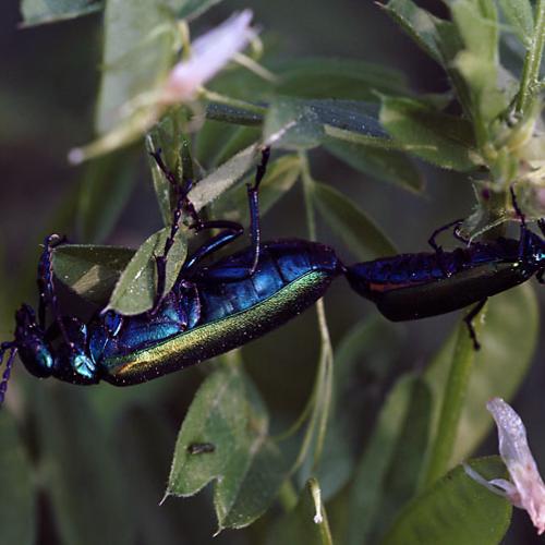 오늘 아침엔166-2탄