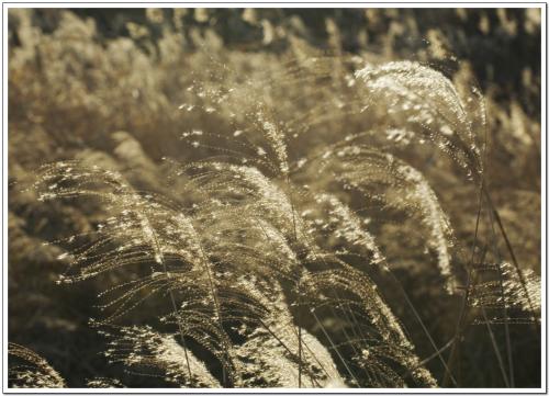 가을! 이제 지다...