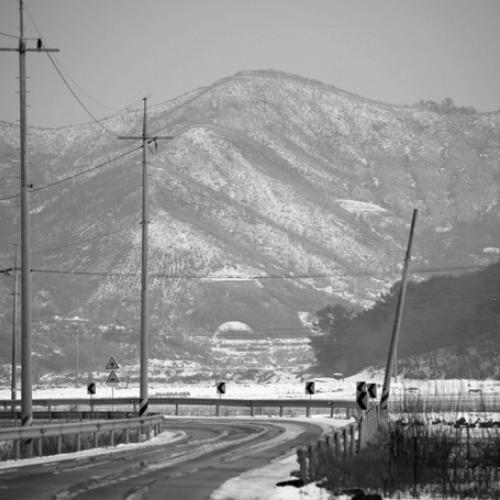 갸들 오긴 온거여?