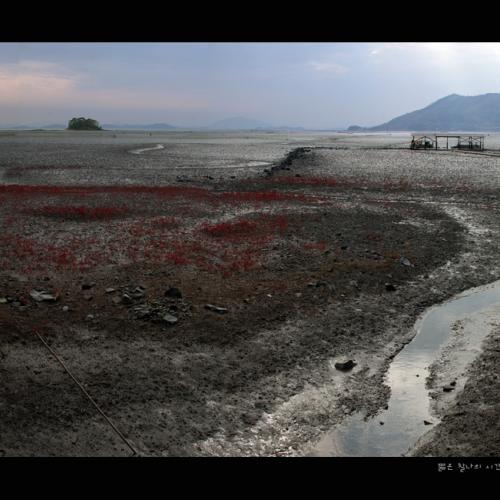 The days in 2000km #03