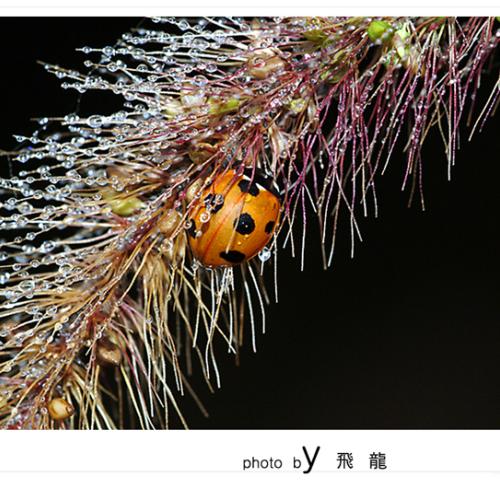 오늘 아침엔114-2탄