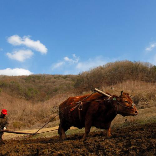 봄을 준비하며~
