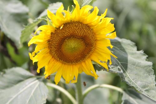 당신만볼게요...