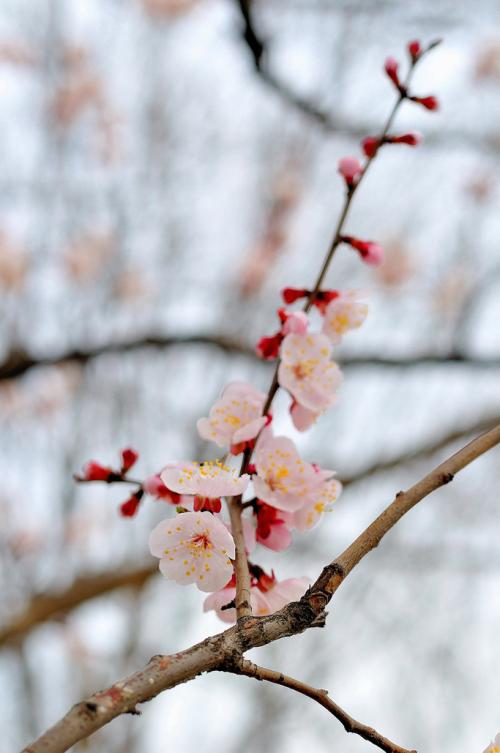 증거 중에 하나