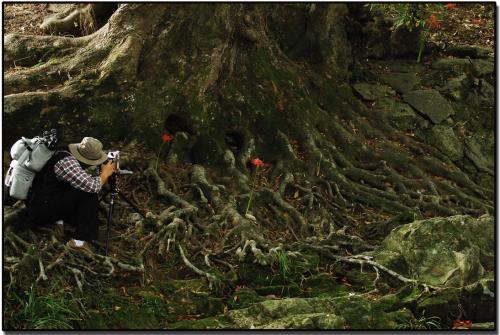 꽃을 담는 사람들...