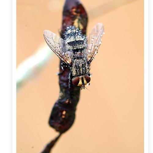 오늘 아침엔114-3탄