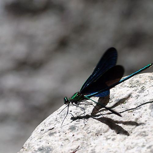 오늘 아침엔167-2탄