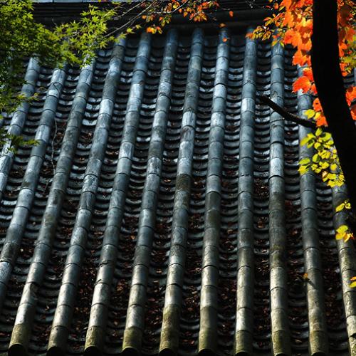 아침 그리고 저녁....