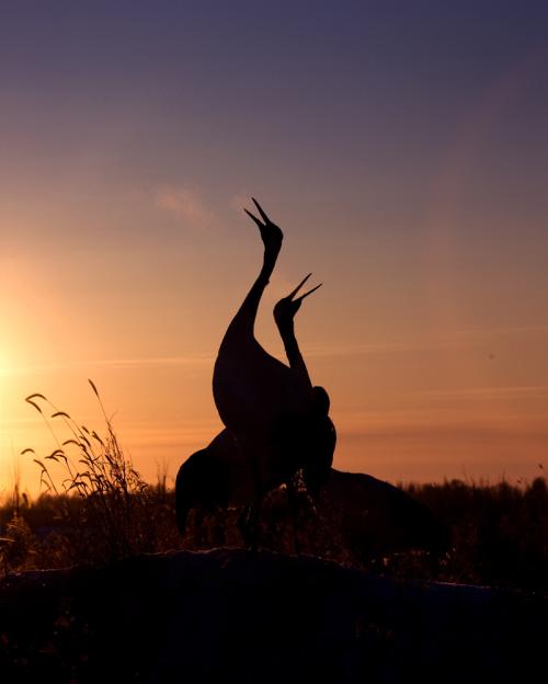 2008.흑룡강성 치치하얼