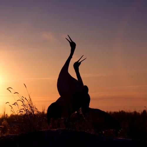 2008.흑룡강성 치치하얼