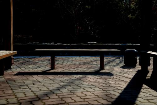 어느 날 오후에...