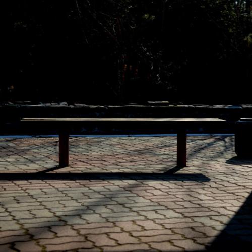 어느 날 오후에...