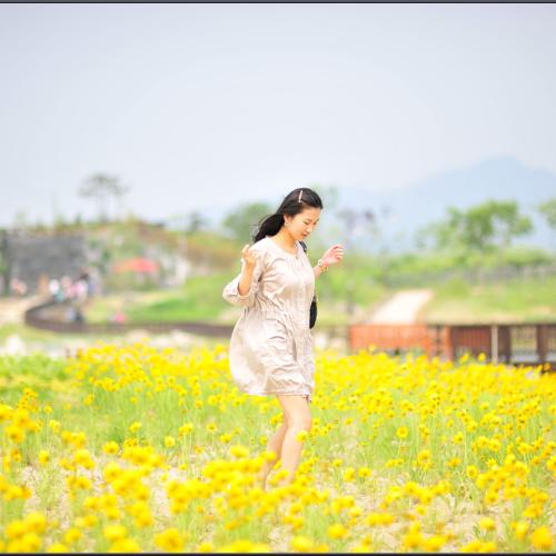 노란꽃밭에서...