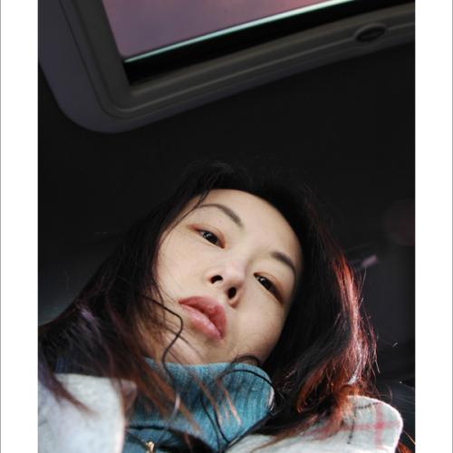 모처럼 selfree 부활!