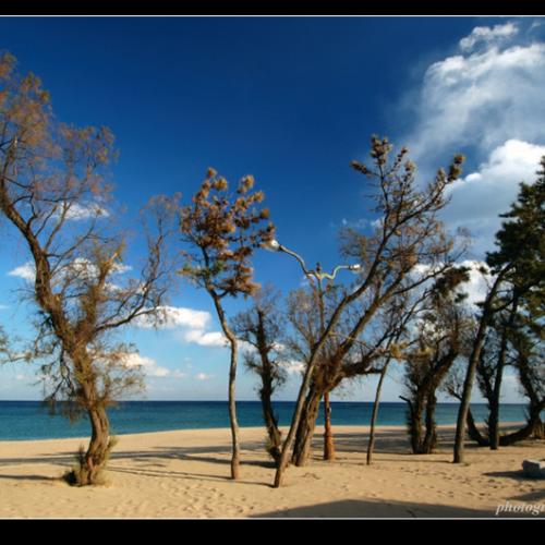 철지난 바닷가2