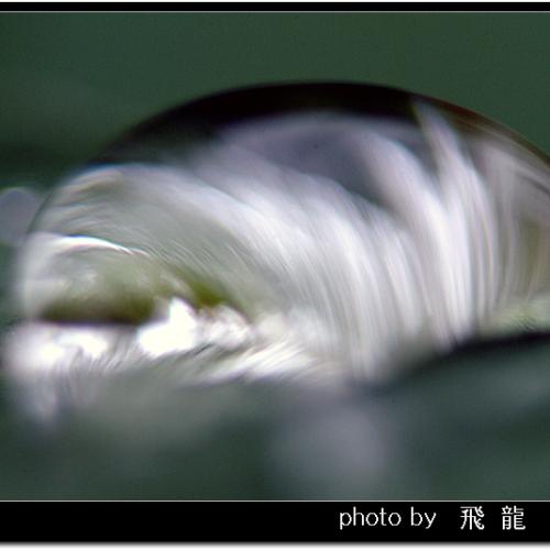 오늘 아침엔28탄(초접사)