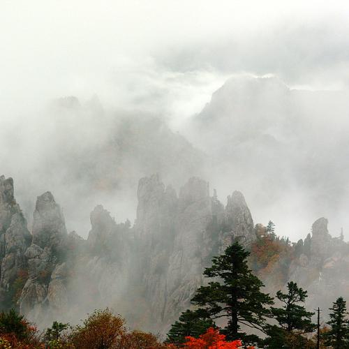 설악산 공룡잡고 왔습니다.