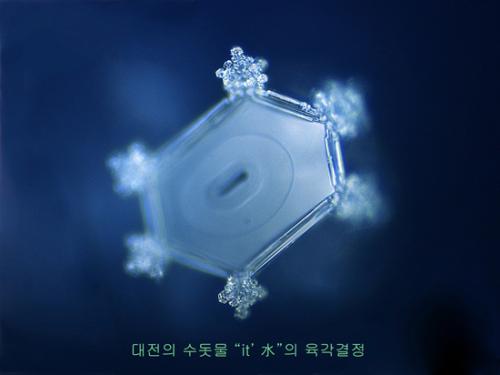 대전 수돗물에서 육각결정사진 촬영